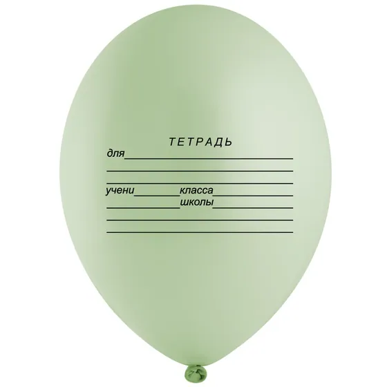 Шар ( 12″/30 см ) Школьная тетрадь